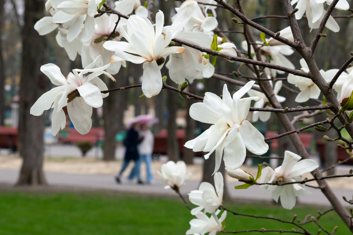 Фото: izvestia.kharkov.ua