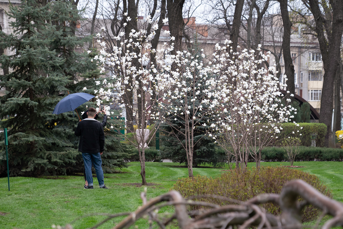 Фото: izvestia.kharkov.ua