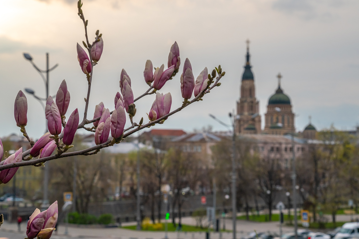 Фото: izvestia.kharkov.ua