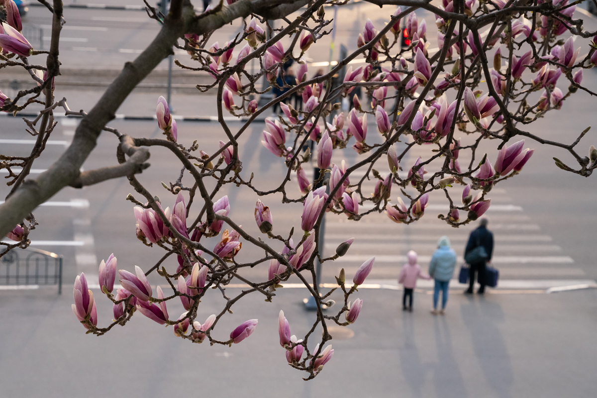 Фото: izvestia.kharkov.ua