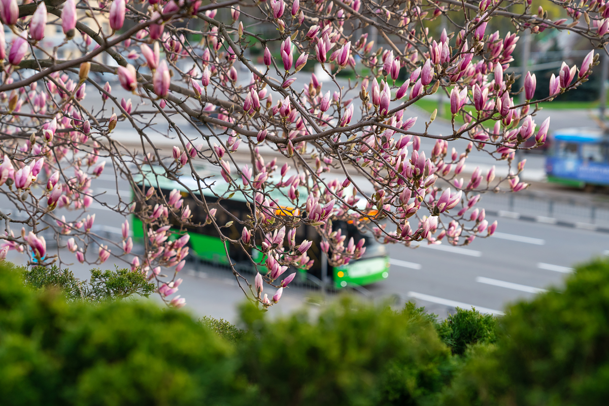 Фото: izvestia.kharkov.ua