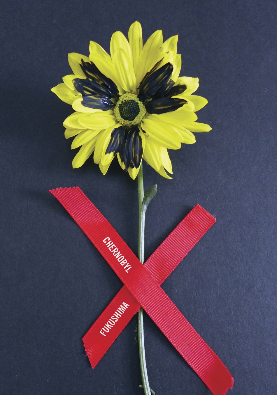 950 работ из 53 стран: в Харькове пройдет Tриенале экологического плаката "4-й Блок" фото 7 6