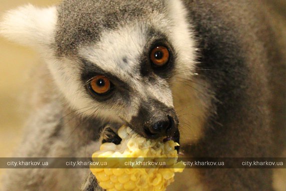  Фото: city.kharkov.ua