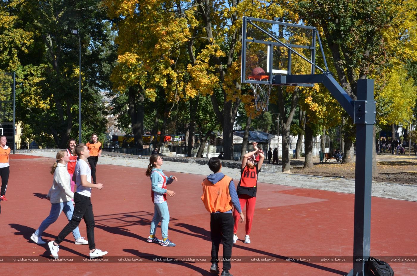 Дорожка для катания на роликах, спортплощадки, качели: Ново-Баварский сквер открыли после реконструкции фото 3 2