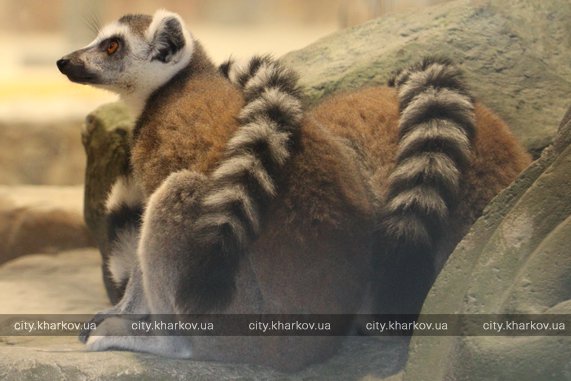  Фото: city.kharkov.ua