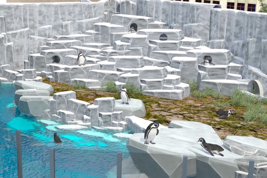 Месяц до открытия: Игорь Терехов показал, как выглядит Харьковский зоопарк фото 17 16