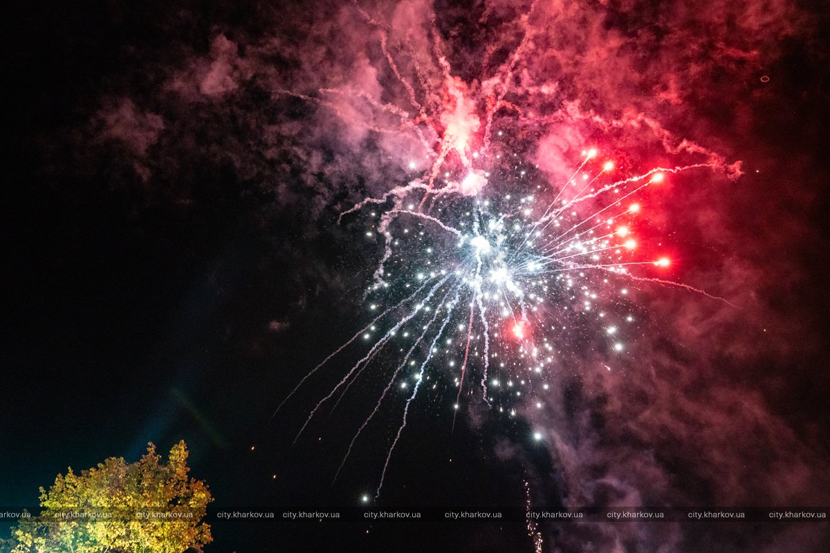 Замок, скалодром, детские площадки: парк "Юность" в Харькове открыли после реконструкции фото 2 1