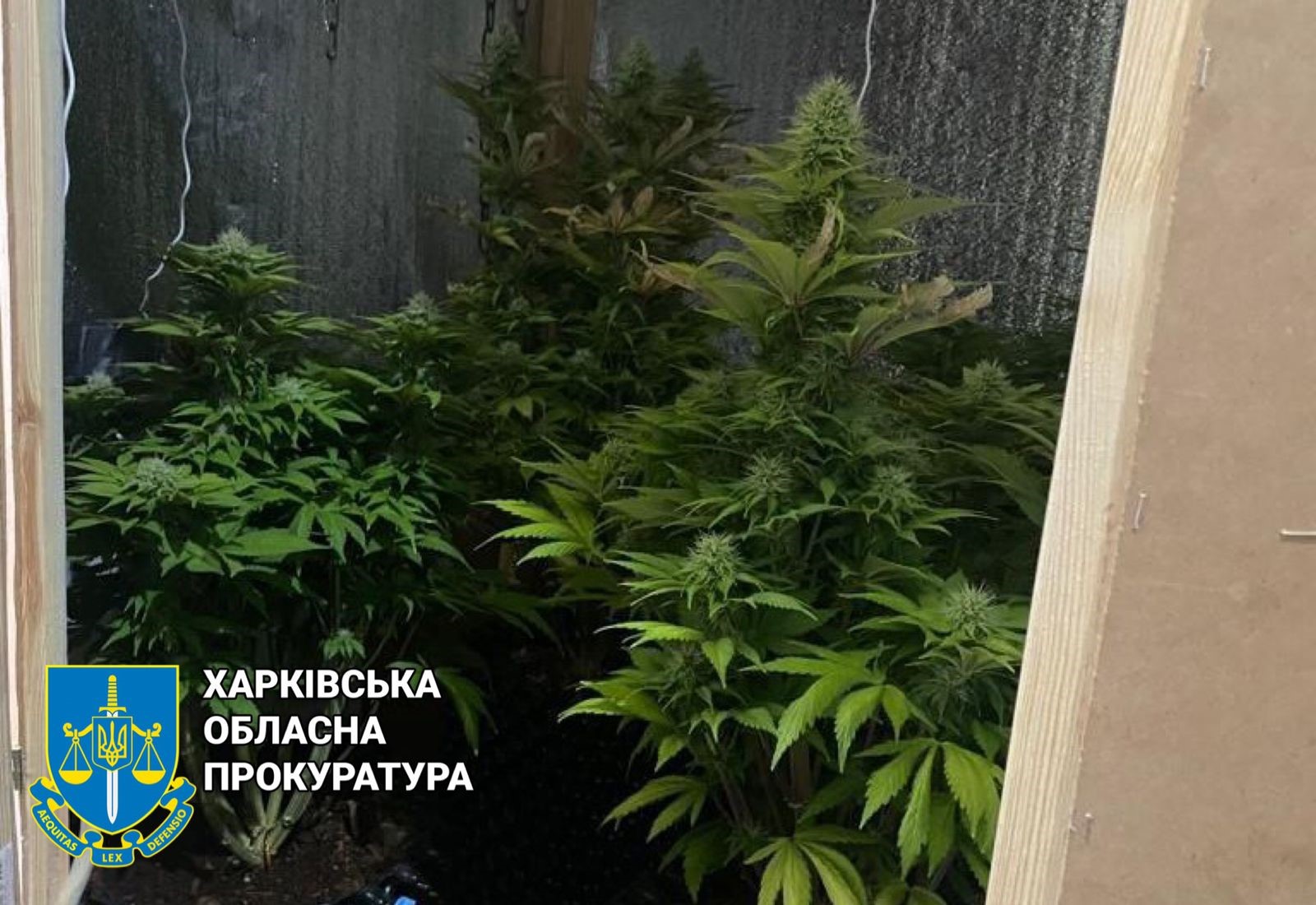 На Салтовке муж с женой устроили нарколабораторию в квартире.