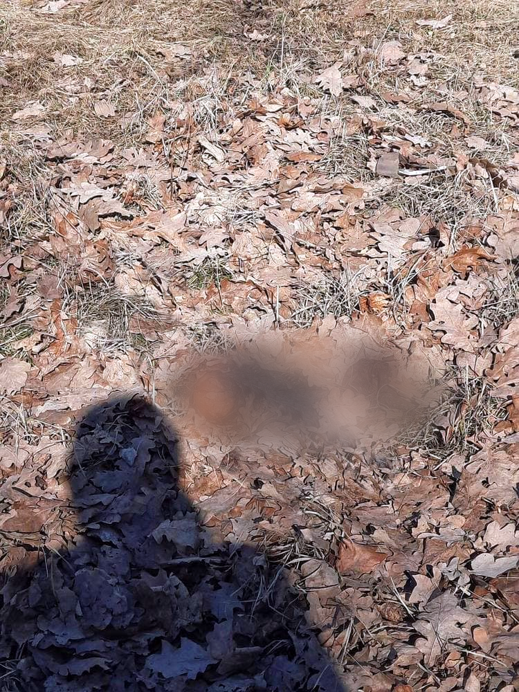 Фото: Типичное ХТЗ