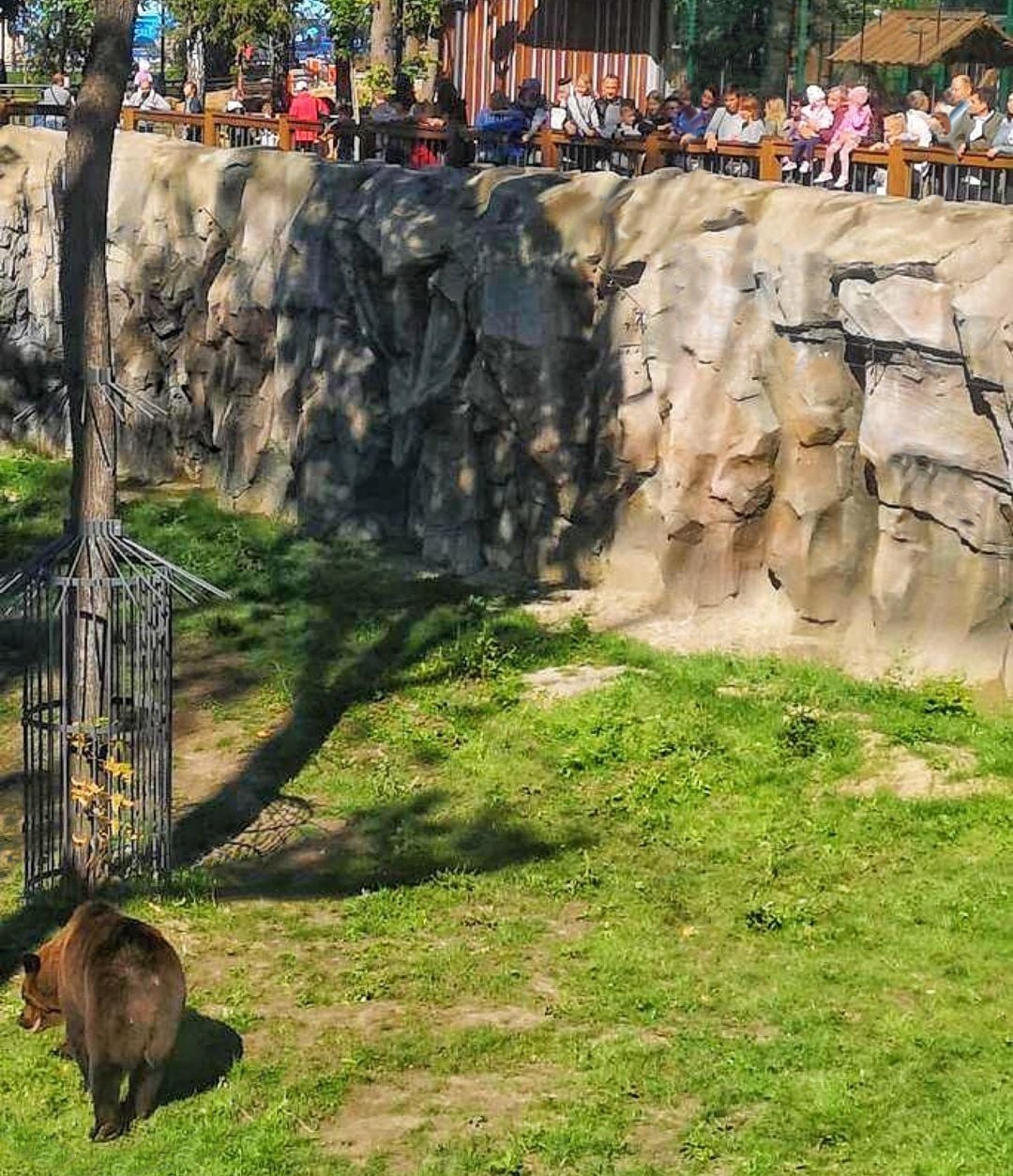 Фото: Типичное ХТЗ