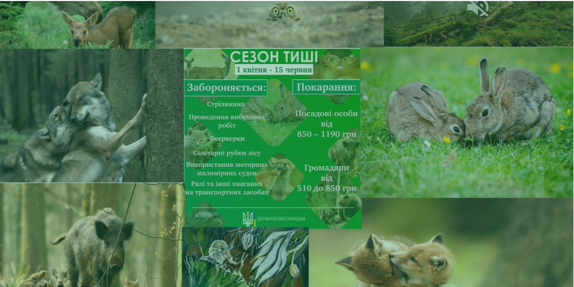 Инфографика: khark.dei.gov.ua