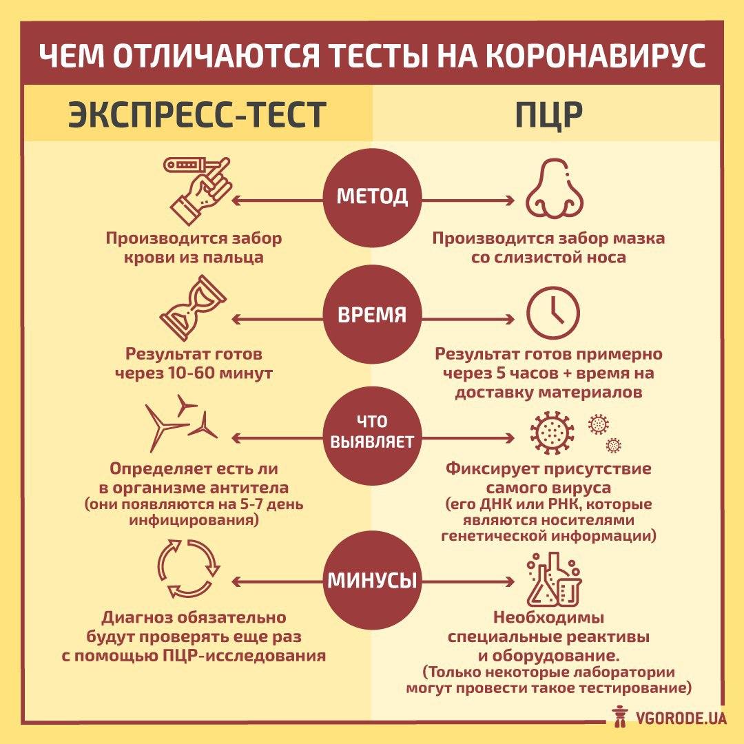 Инфографика: Vgorode