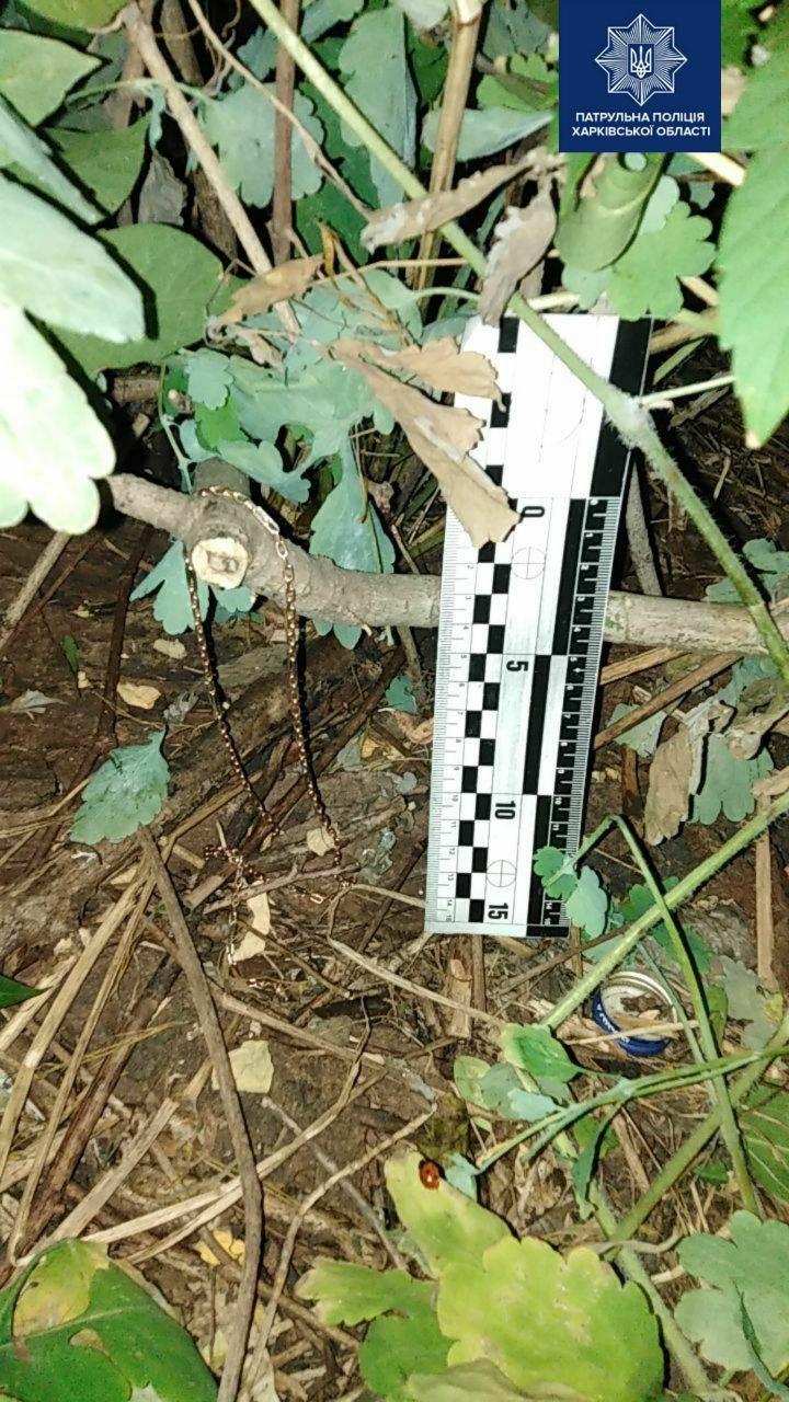 Фото: патрульная полиция