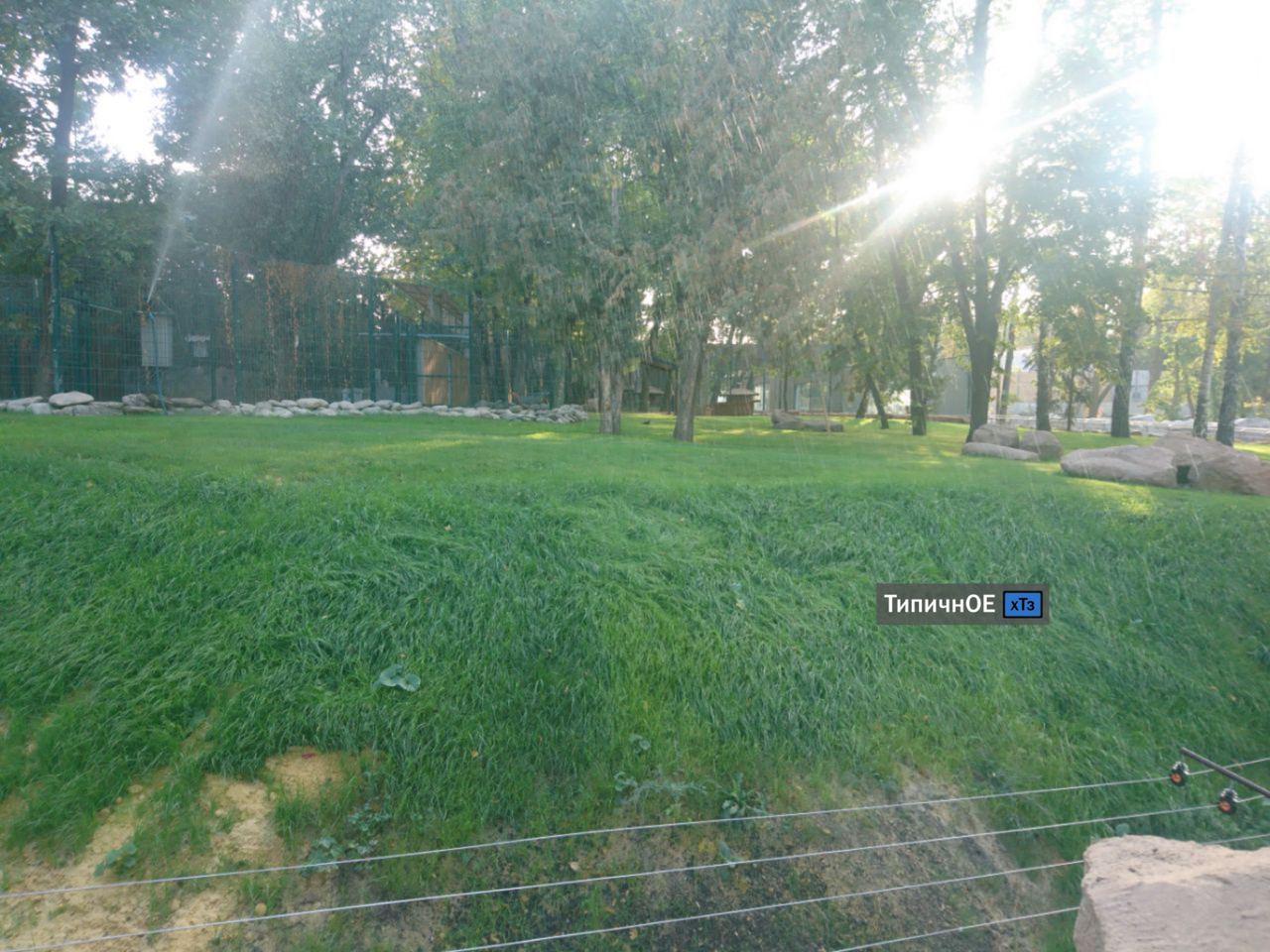 Фото: Типичное ХТЗ