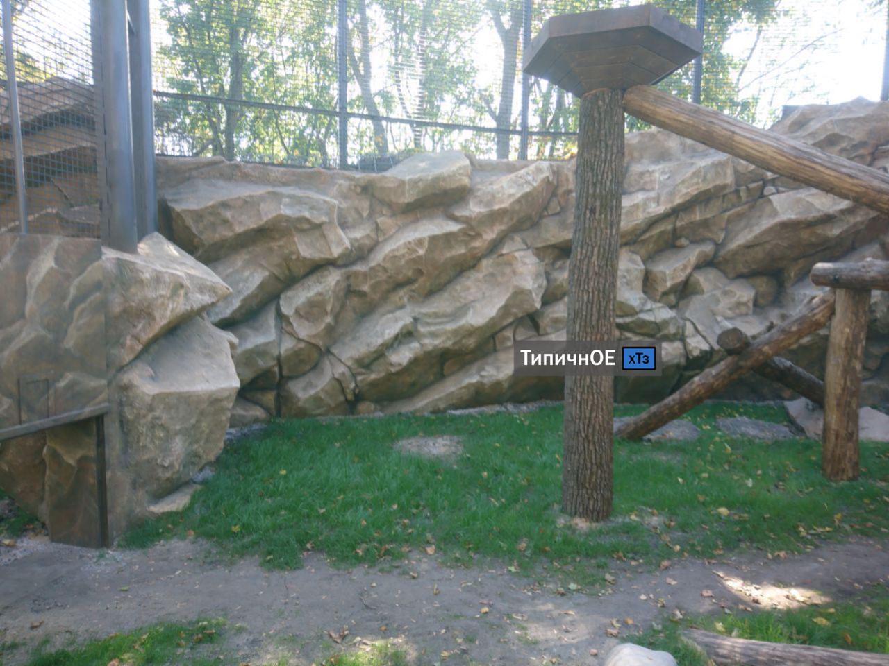 Фото: Типичное ХТЗ