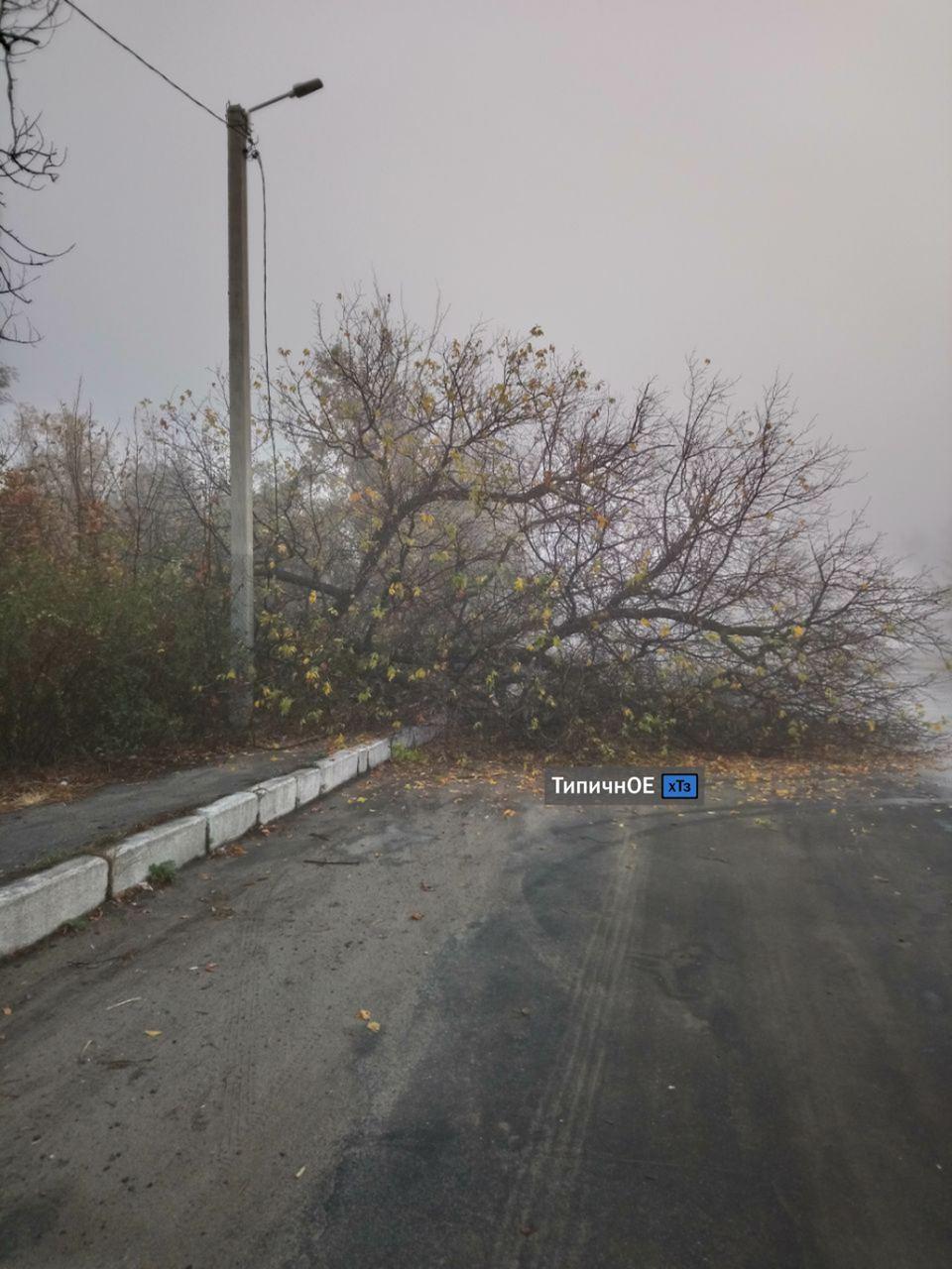 Туман в Харькове утром 13 октября. Фото: Типичное ХТЗ