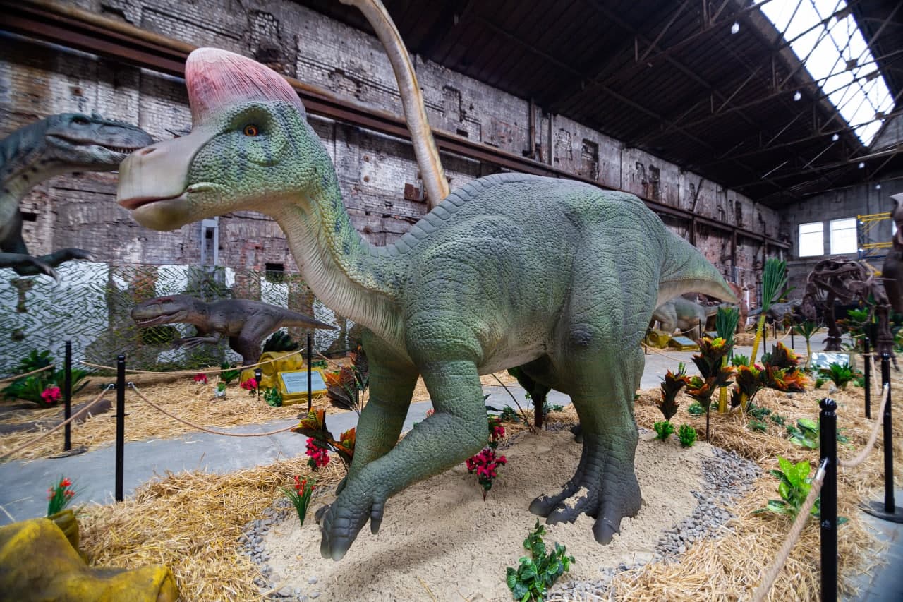 От тираннозавра до трицератопса: гид по выставке динозавров в Харькове фото 10 9