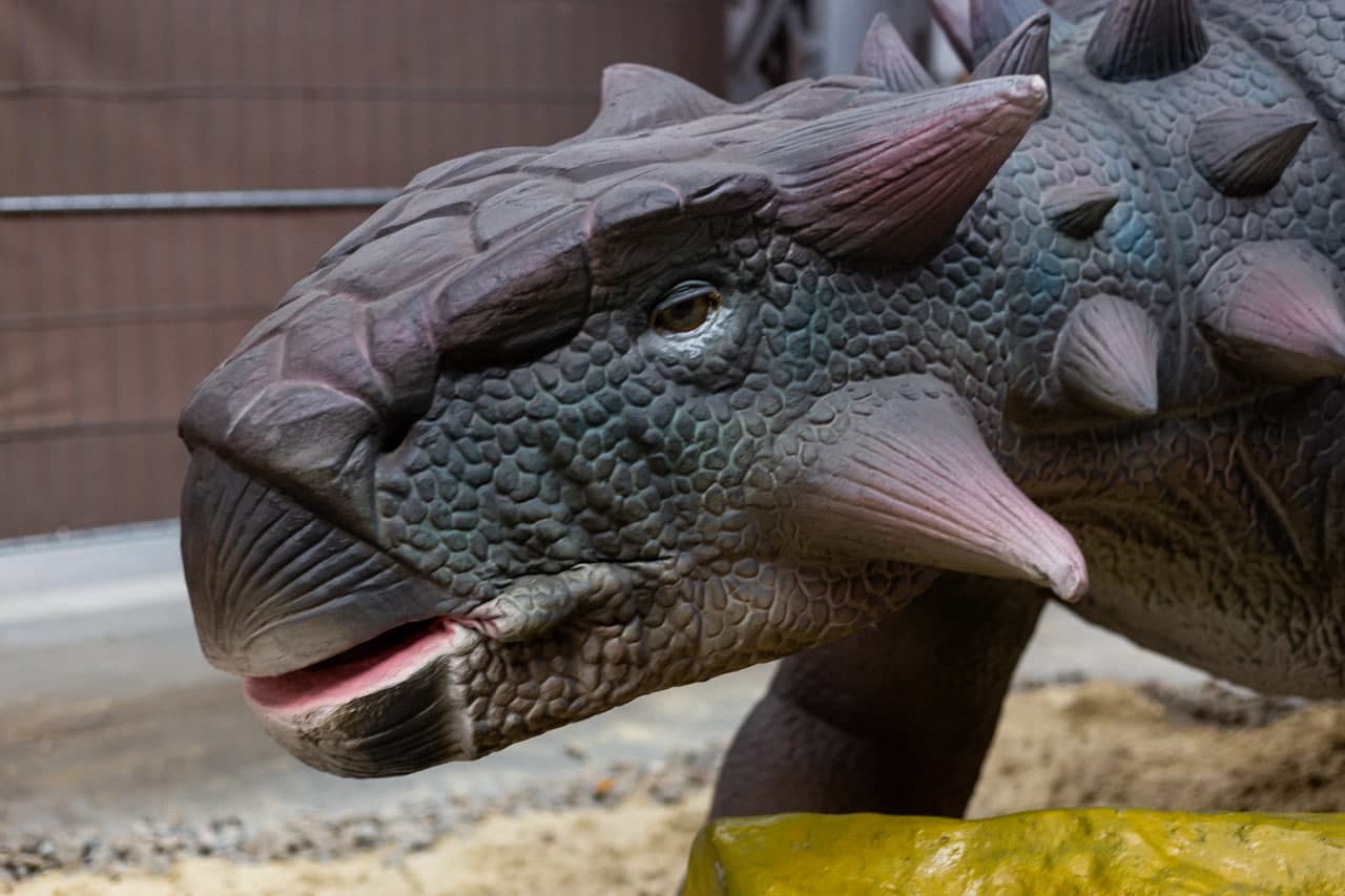 От тираннозавра до трицератопса: гид по выставке динозавров в Харькове фото 13 12