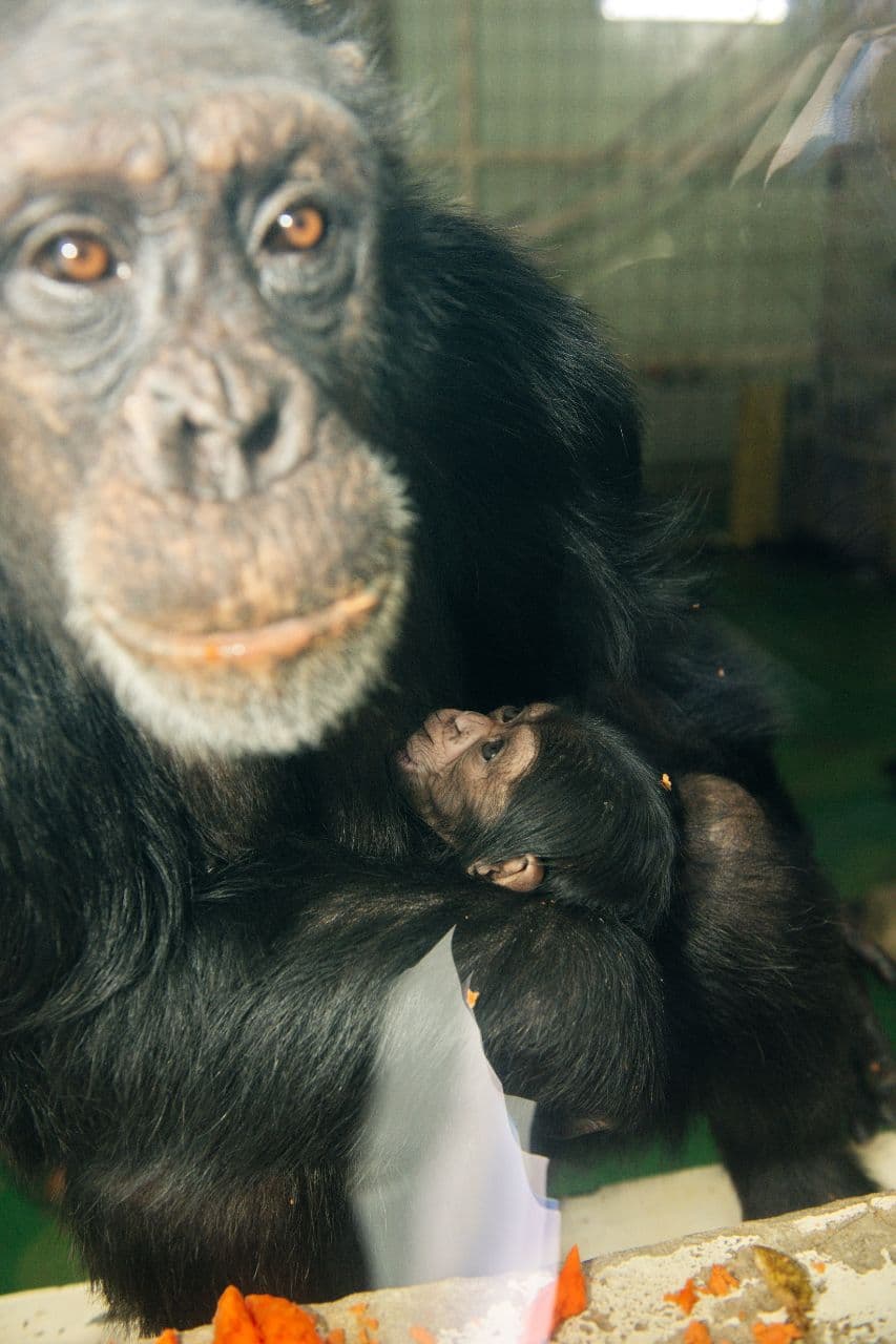 Фото: facebook.com/FeldmanEcopark