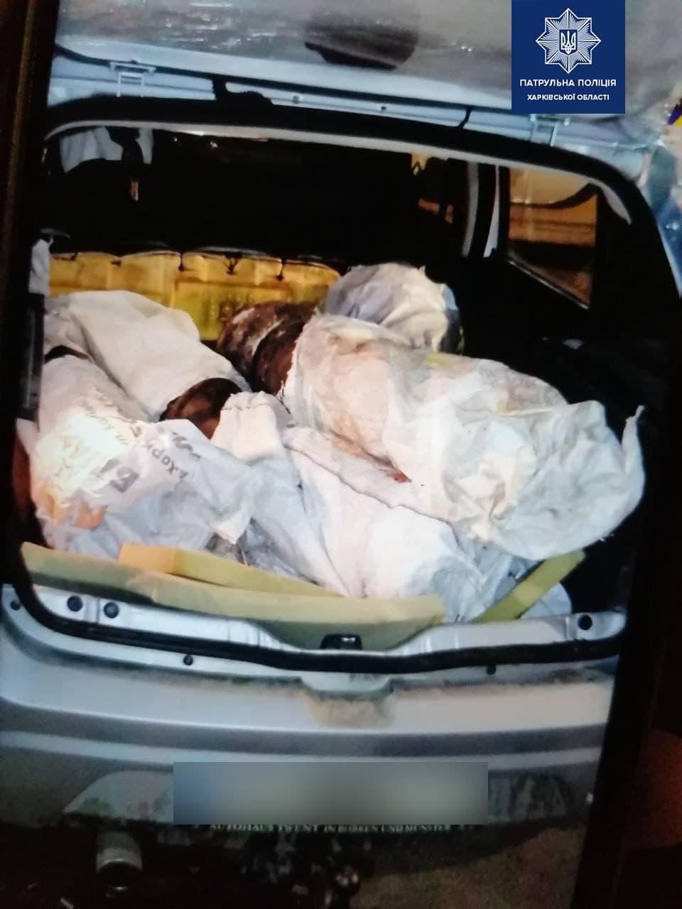 Фото: патрульная полиция