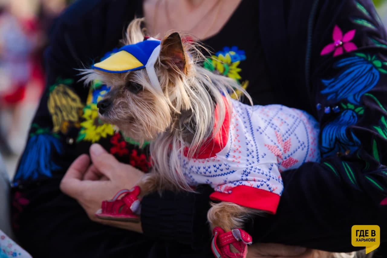 Фото: Где в Харькове