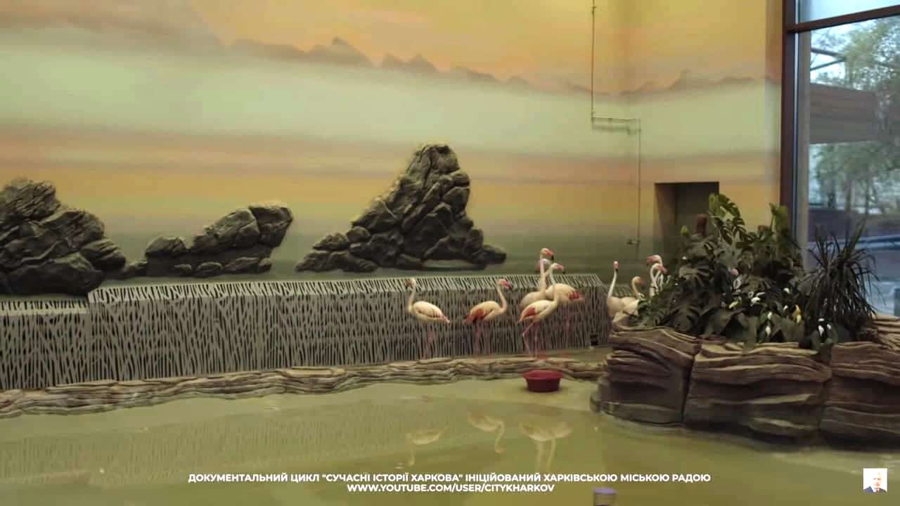 Месяц до открытия: Игорь Терехов показал, как выглядит Харьковский зоопарк фото 5 4