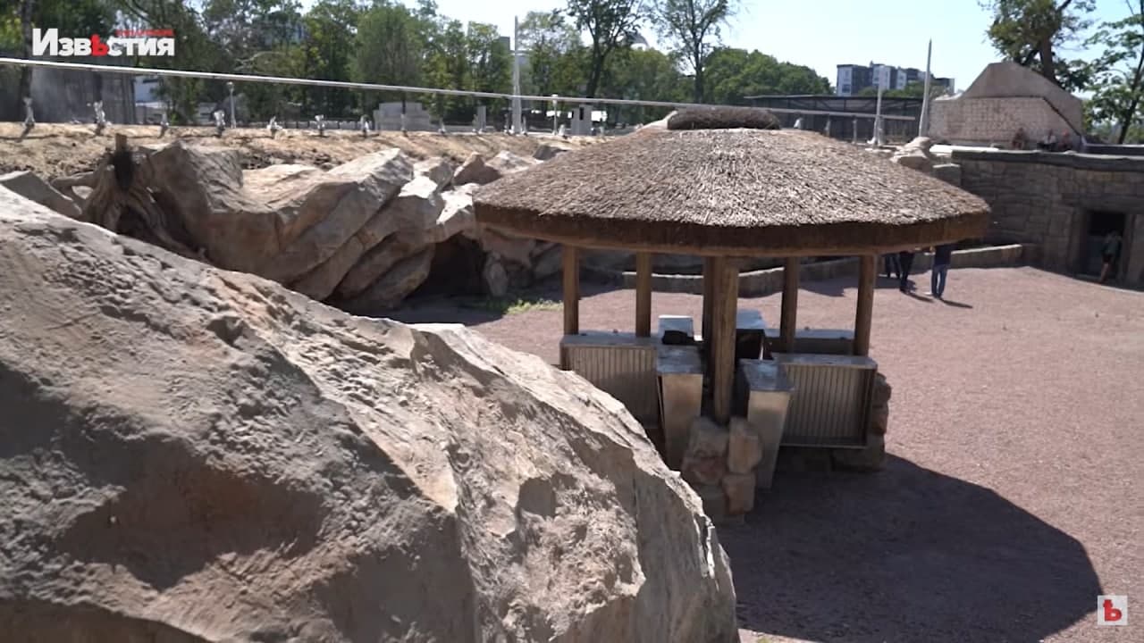 Месяц до открытия: Игорь Терехов показал, как выглядит Харьковский зоопарк фото 7 6