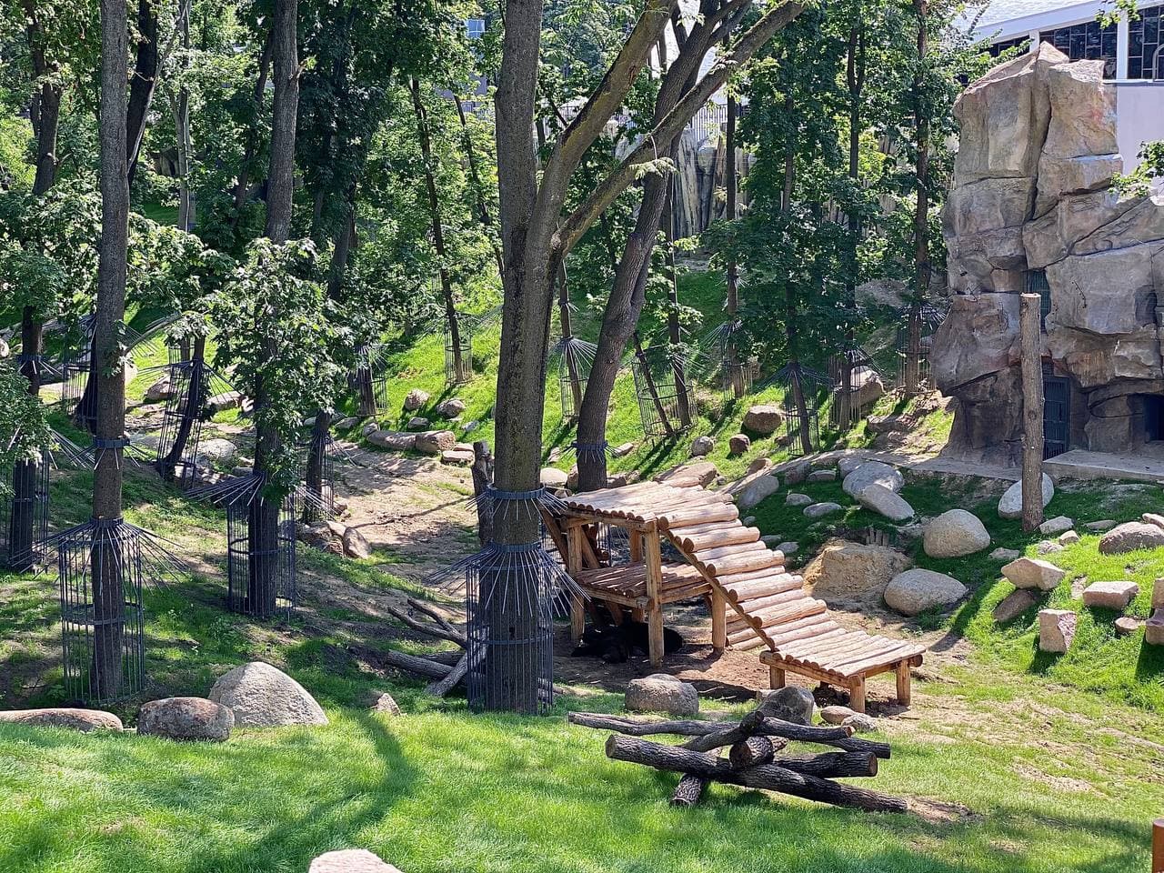 Бассейн с водопадом, качели для медведей: как выглядит зоопарк в Харькове за две недели до открытия фото 4 3