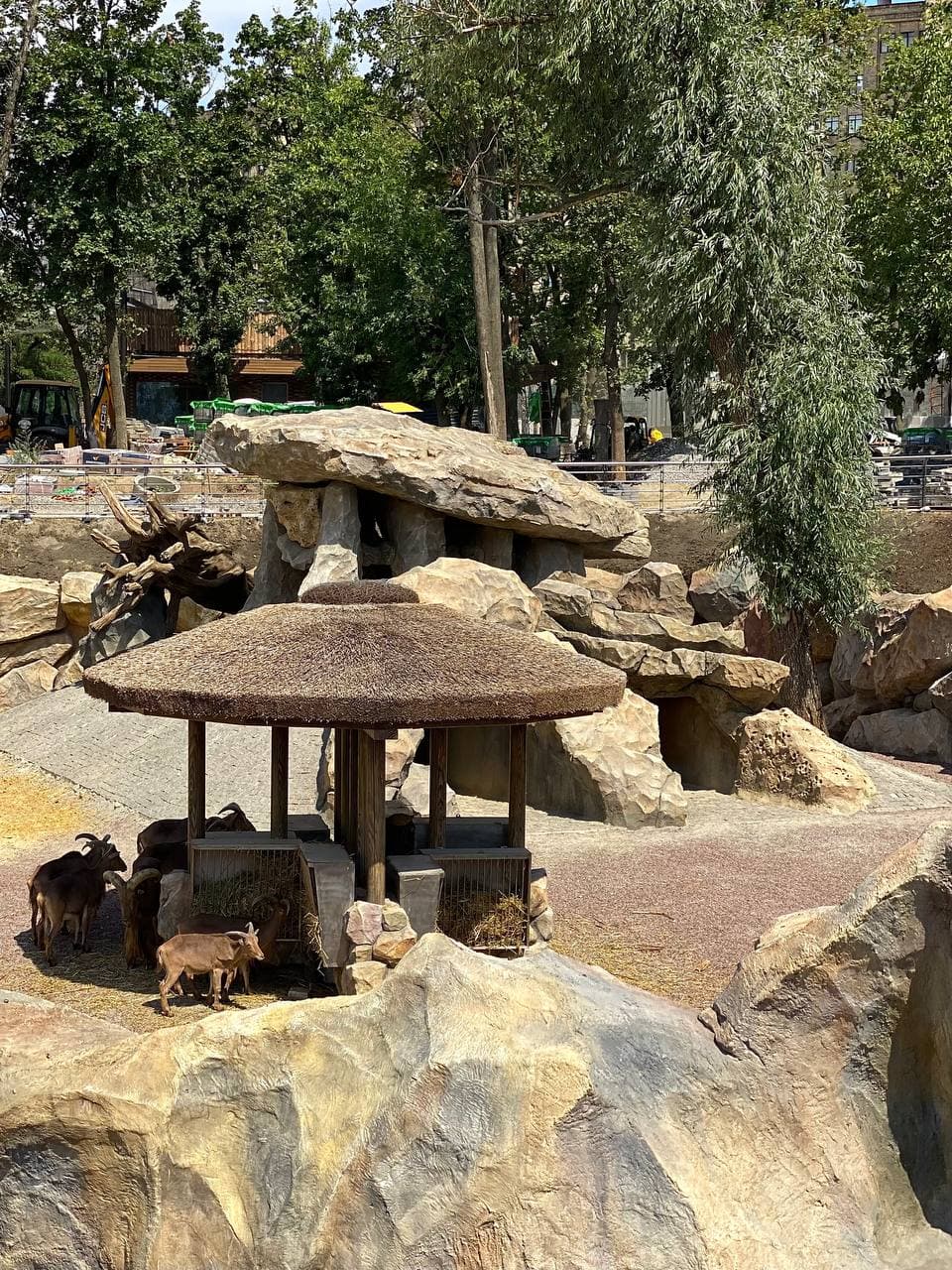 Бассейн с водопадом, качели для медведей: как выглядит зоопарк в Харькове за две недели до открытия фото 3 2