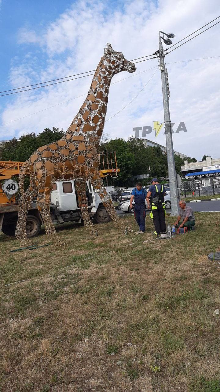 Светятся в темноте: в Харькове появились фигуры слона и жирафа фото 10 9