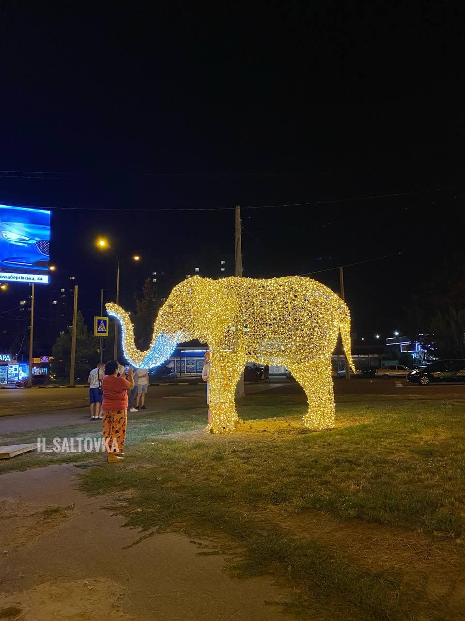 Светятся в темноте: в Харькове появились фигуры слона и жирафа фото 8 7