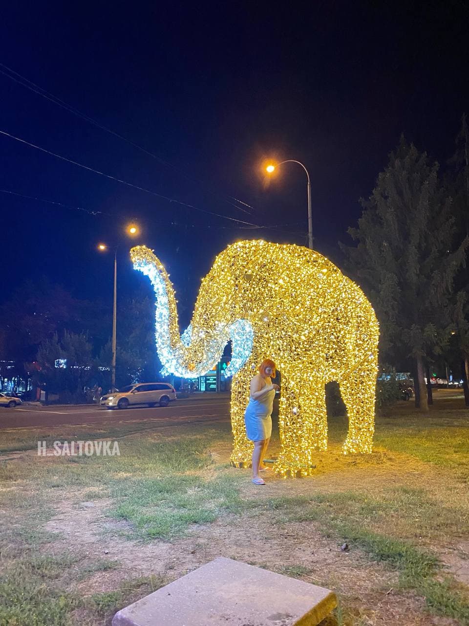 Светятся в темноте: в Харькове появились фигуры слона и жирафа фото 6 5