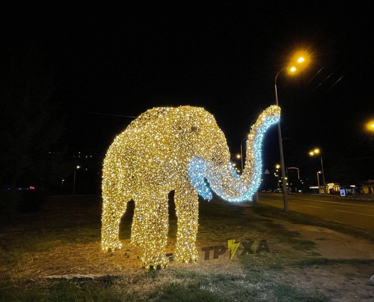 Светятся в темноте: в Харькове появились фигуры слона и жирафа фото 4 3