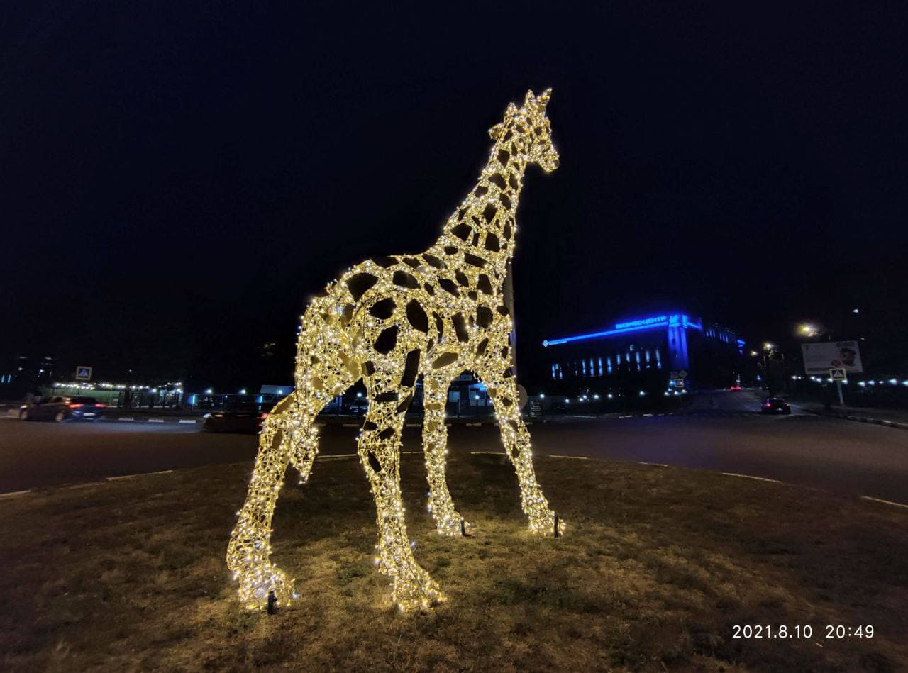 Светятся в темноте: в Харькове появились фигуры слона и жирафа фото 3 2