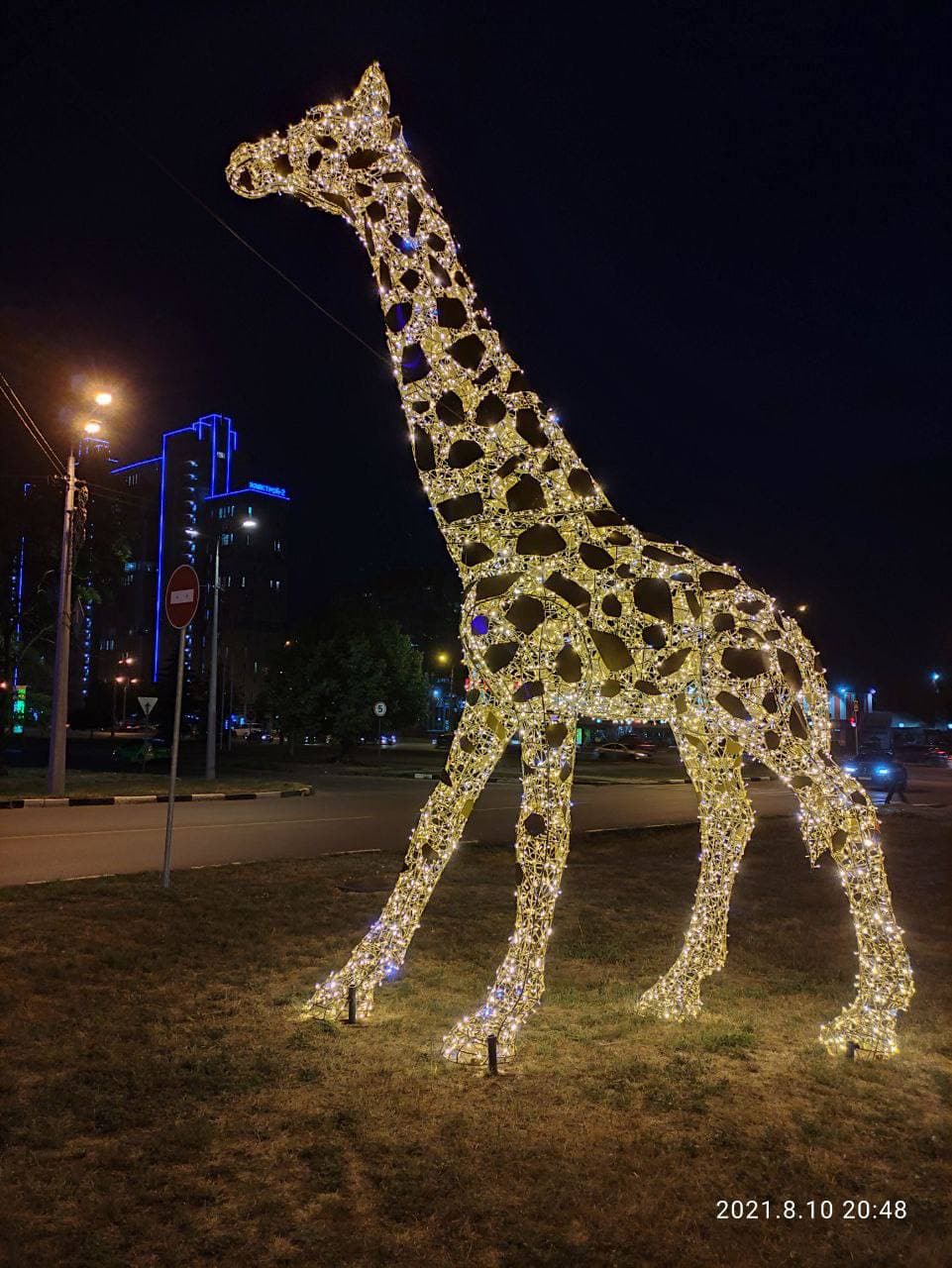 Светятся в темноте: в Харькове появились фигуры слона и жирафа фото 2 1