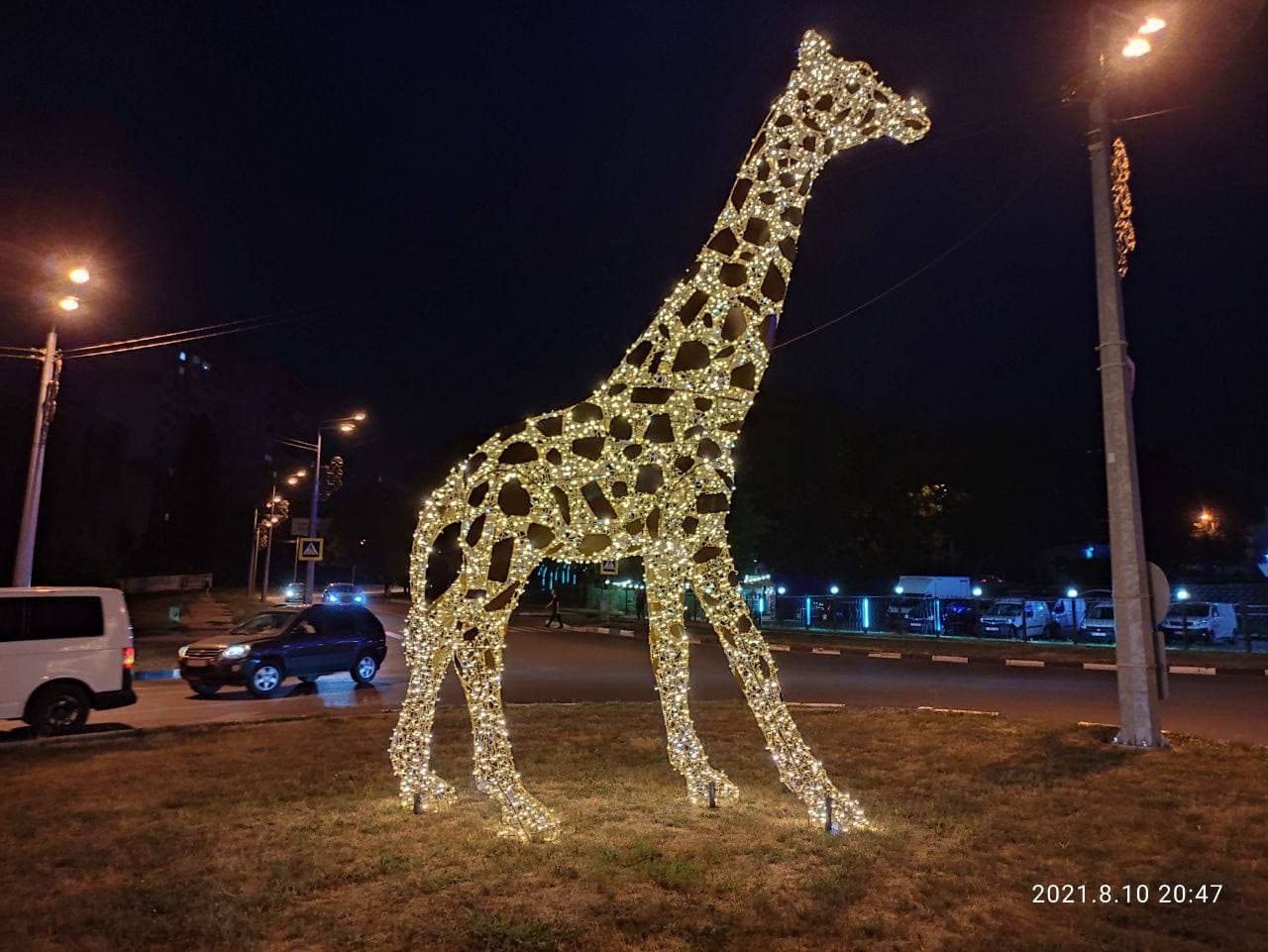 Светятся в темноте: в Харькове появились фигуры слона и жирафа фото 1