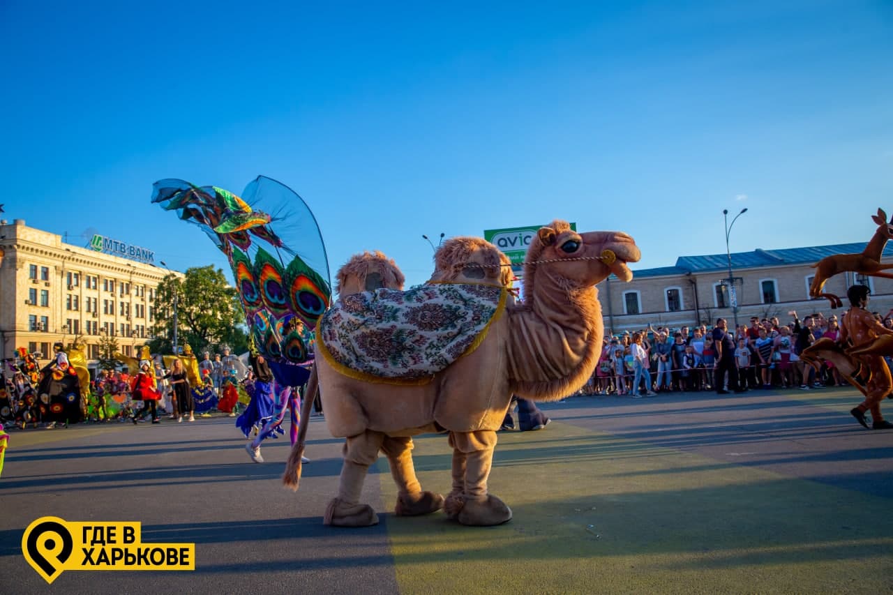 Карнавал, выступление KAZKA и фейерверк: как в Харькове отпраздновали День знаний (фото, видео) фото 3 2