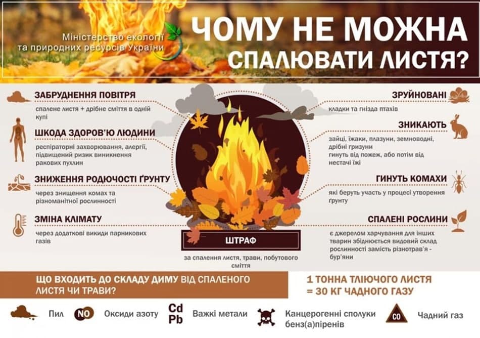 Почему нельзя сжигать листья и траву.