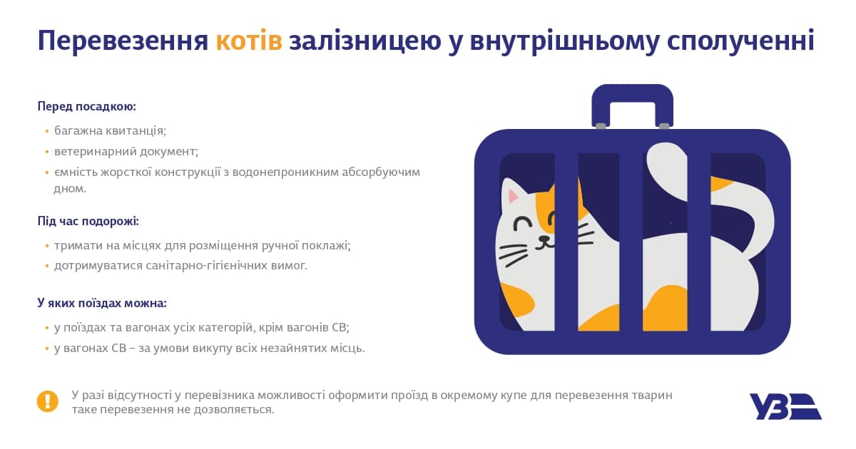 Як перевезти кота поїздом по Україні.