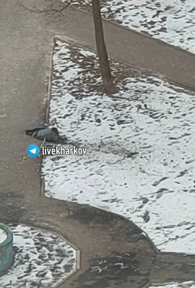 Салтівка, Горизонт, центр: Харків — під жорстокими обстрілами, є загиблі фото 2 1