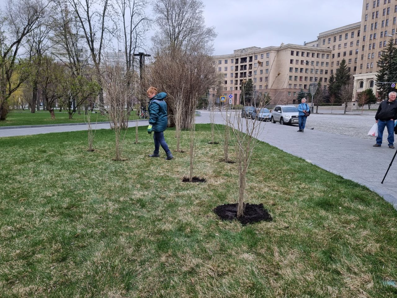 На площади Свободы высадили саженцы, которые отправила пенсионерка с запада Украины.