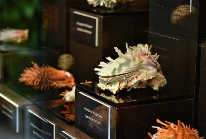 Фото: Газета "Время"