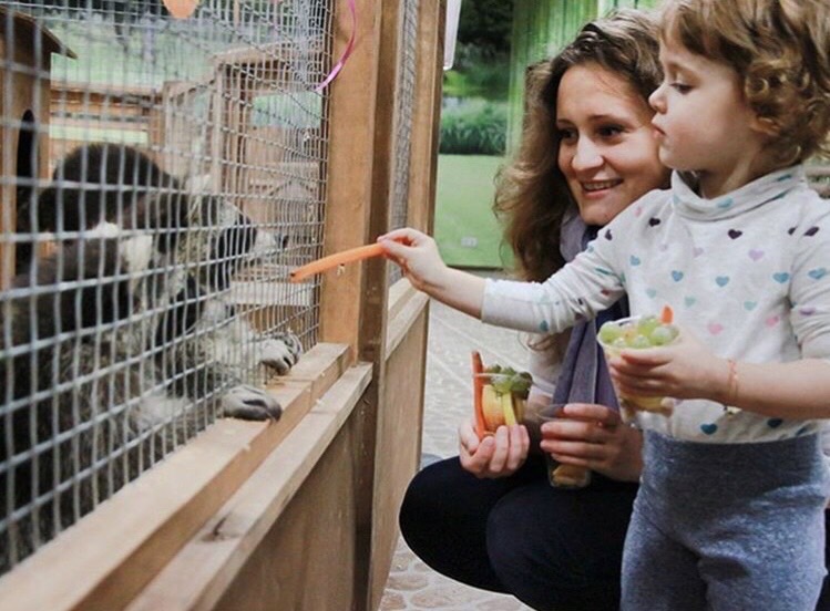 Трогательный зоопарк (контактный зоопарк): фото 4