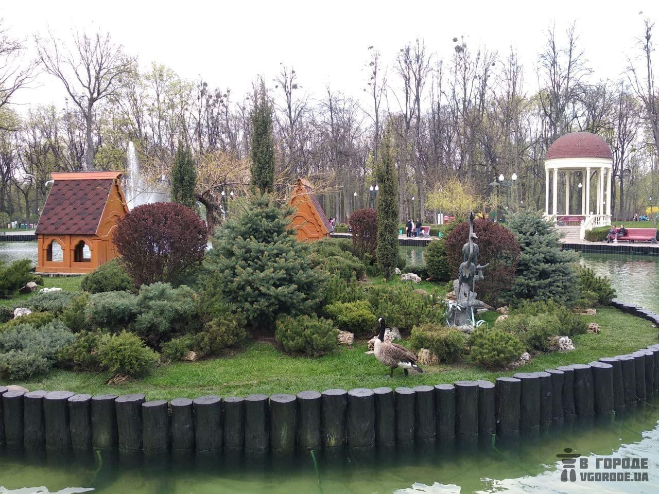 Фотофакт: на озеро в парке Горького вернули лебедей и уток фото 4 3