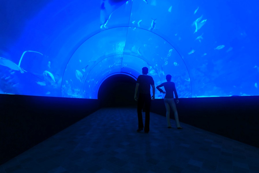 Месяц до открытия: Игорь Терехов показал, как выглядит Харьковский зоопарк фото 10 9