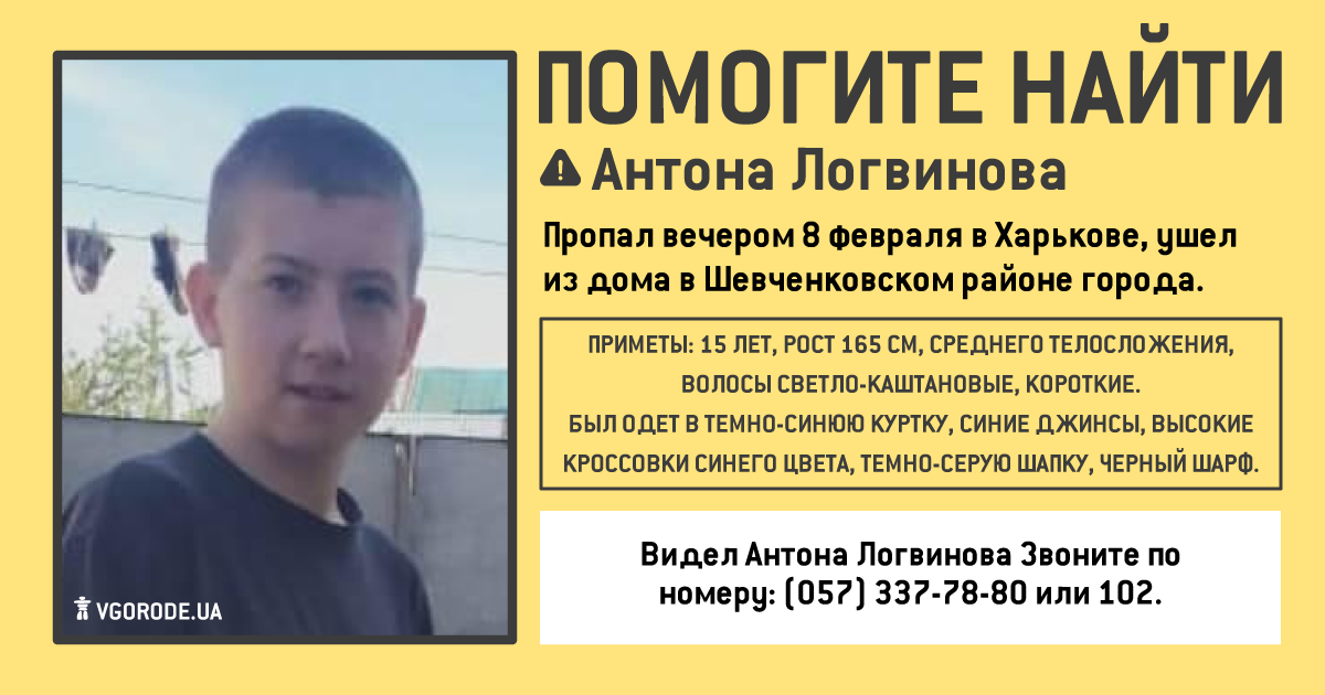 Инфографика: Vgorode