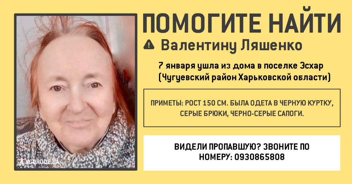 Инфографика: Vgorode