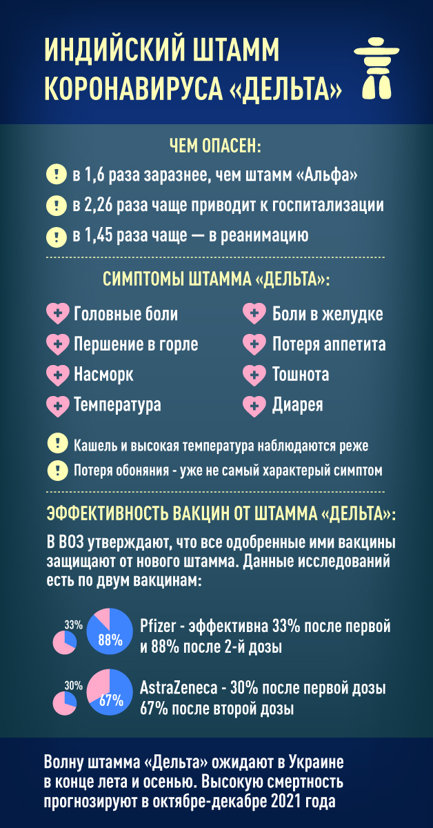 Инфографика: Vgorode