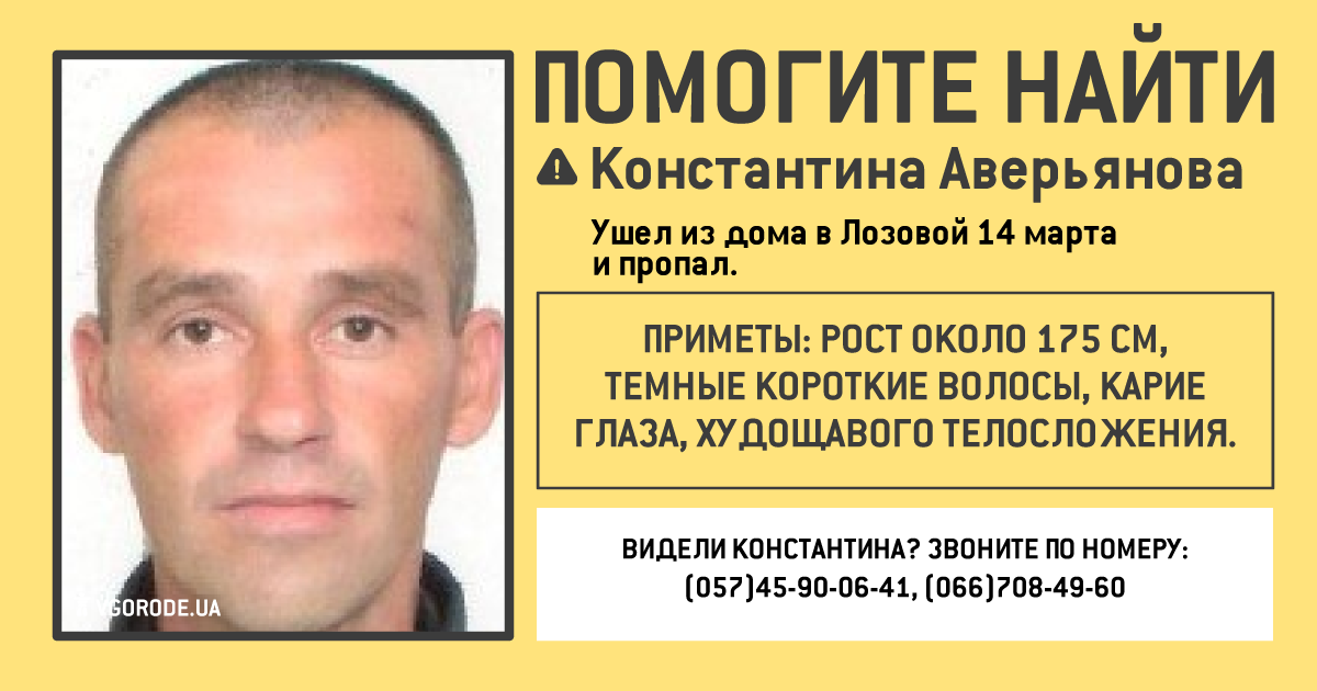 Инфографика: Vgorode