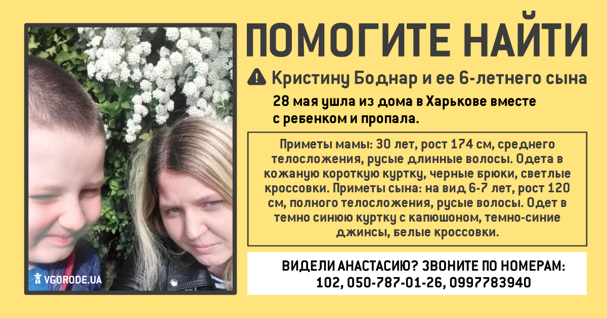 Инфографика: Vgorode